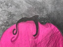 Chat noir au fauteuil rose