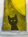 Le chat noir à la fenêtre