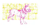 Rose-jaune.webp