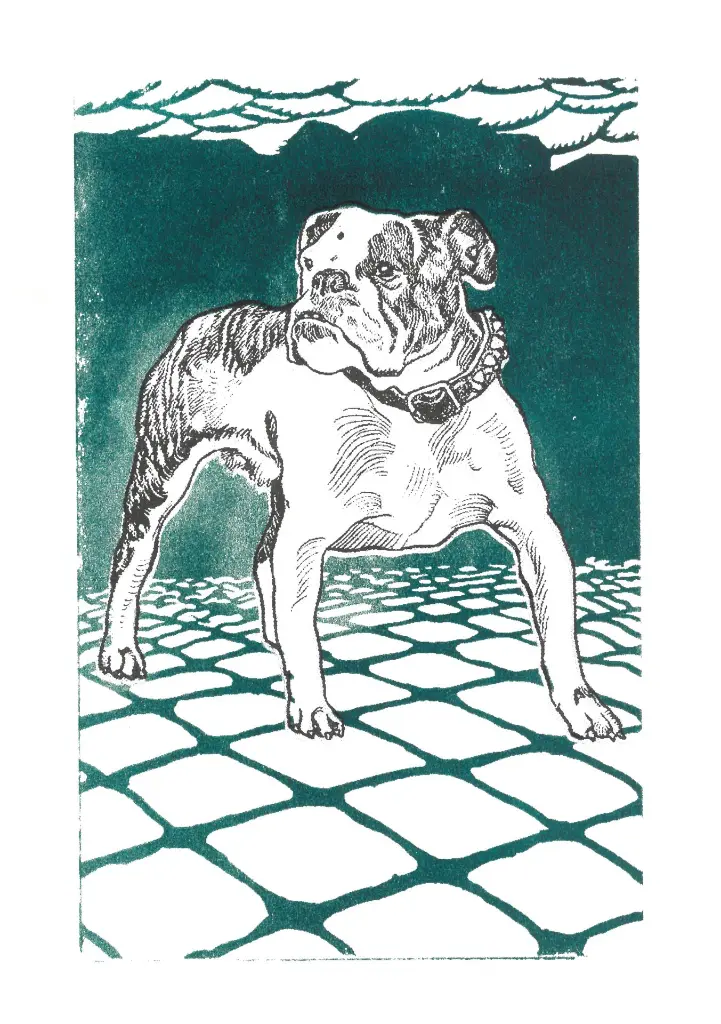 Teal-noir.webp
