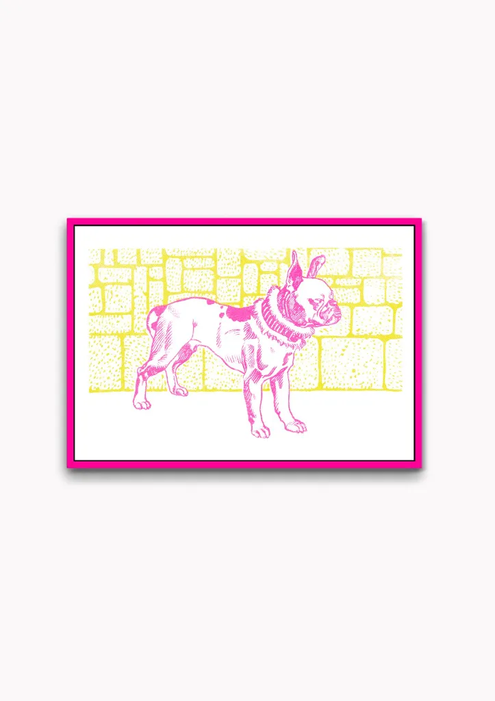 HotBouldogue1.webp