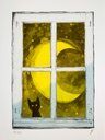Le chat noir à la fenêtre