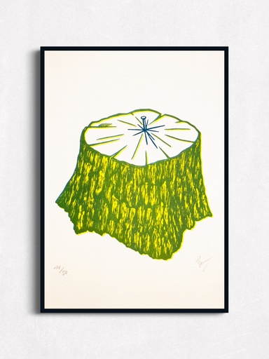 Cosmos