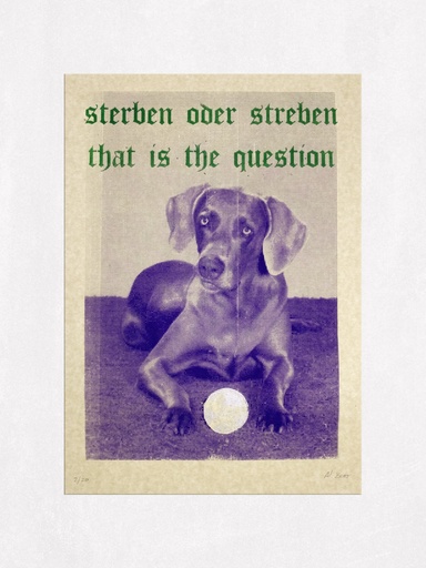 Sterben oder streben
